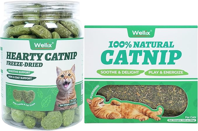 Wellix Natural Catnip & Freeze Dried Catnip Treats for Cats