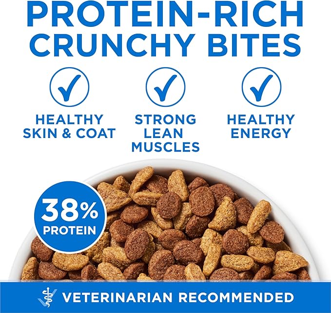 Purina ONE Plus High Protein Cat Food Dry Salmon and Ocean Whitefish Cat Skin and Coat Health Formula - 3.5 lb. Bag