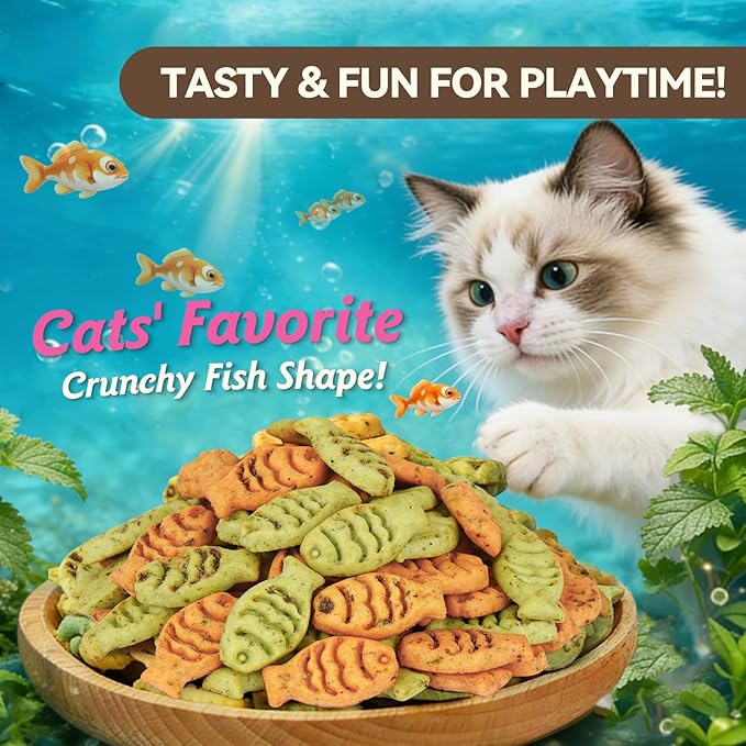 Catnip Cat Treats, Chicken & Salmon Flavor Crunchy Cat Biscuits, Fish-Shaped Training Snacks for Adult Cats, 16 oz