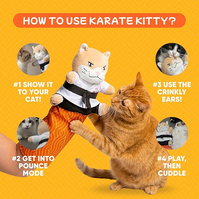 KARATE KITTY Cat Wrestling Glove & Puppet Toy with Protective Arm Sleeve – Interactive Boxing Cat Toy for Indoor Cats with Catnip Pocket & Crinkle Ears
