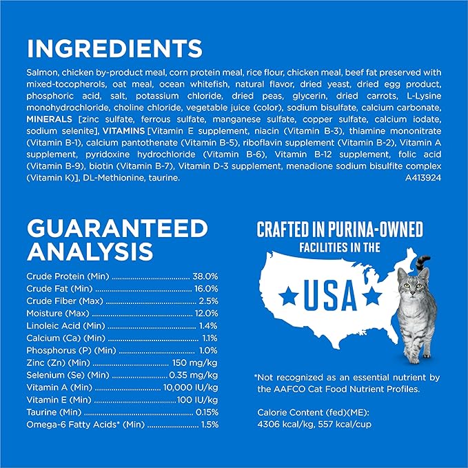 Purina ONE Plus High Protein Cat Food Dry Salmon and Ocean Whitefish Cat Skin and Coat Health Formula - 16 lb. Bag