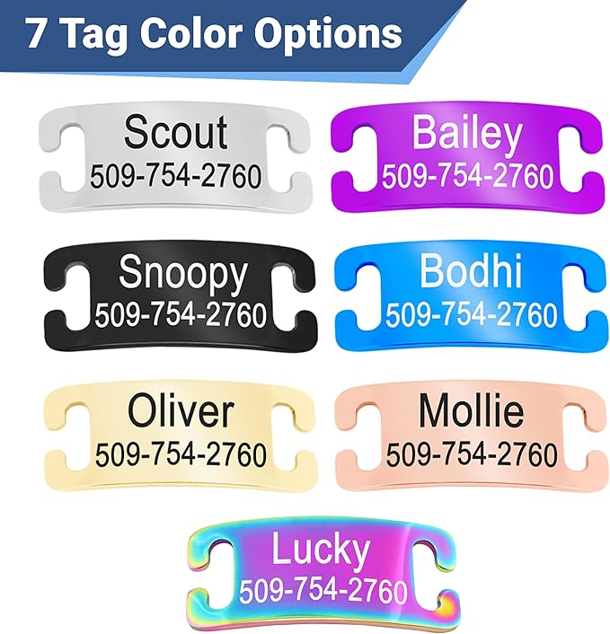 GoTags Personalized Reflective Cat Collars with Tag, Engraved Custom with Name and Phone, Breakaway Collar with Safety Buckle and Bell, Adjustable for Cats and Kitten, (Blue with Nameplate)