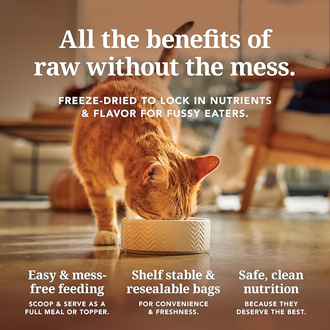 Feline Natural High Protein Dry Cat Food, Freeze-Dried Diet with 98% Meat, Organs & Seafood, No Peas, Grains, or Artificial Additives, Made in New Zealand, Lamb & King Salmon, 11oz