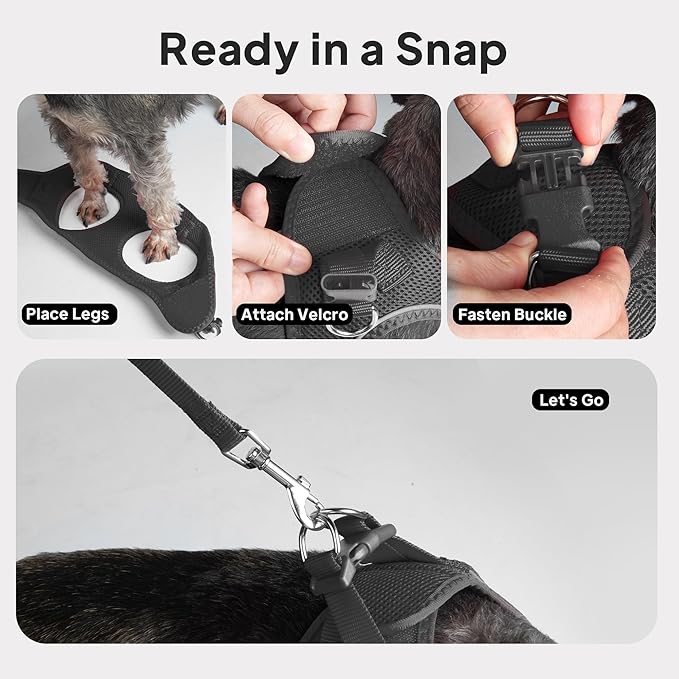 PetiFine Step in Small Dog Harness and Leash Set, Breathable All Weather Air Mesh Reflective Escape Proof, Step-in Vest Harnesses for Puppy(S, Black)