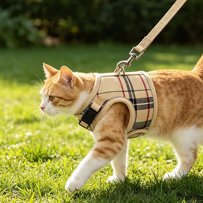 BINGPET Cat Harness and Leash Escape Proof - Soft and Air-Mesh Kitten Travel Walking Harness - Vest Harness for Small Medium Large Cats & Puppy Dog & Rabbit