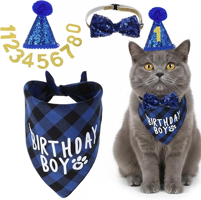 Xindojuz 1 Set Cat Birthday Hat Decorations, Adjustable Cat Birthday Hat with Number Bow Tie Bandana Collar for Cats Dogs Pet Kittens Apparel Christmas Party Outfits Supplies (Blue)