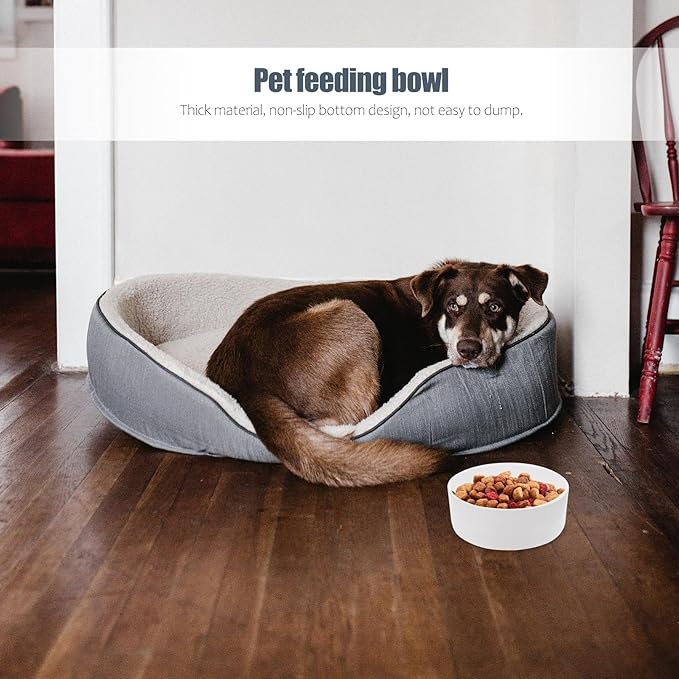 Alipis Ceramic Elevated Cat Bowl with Wood Rack, High Feet Feeder Small White Straight Edge, Raised Feeding and Watering Dish for Cats and Kittens