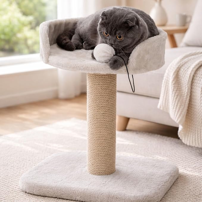 Trixie Mica 18-in Cat Tree for Kittens, Indoor Jute Scratching Post Cat Furniture, Padded Platform, Dangling Toy, Greige