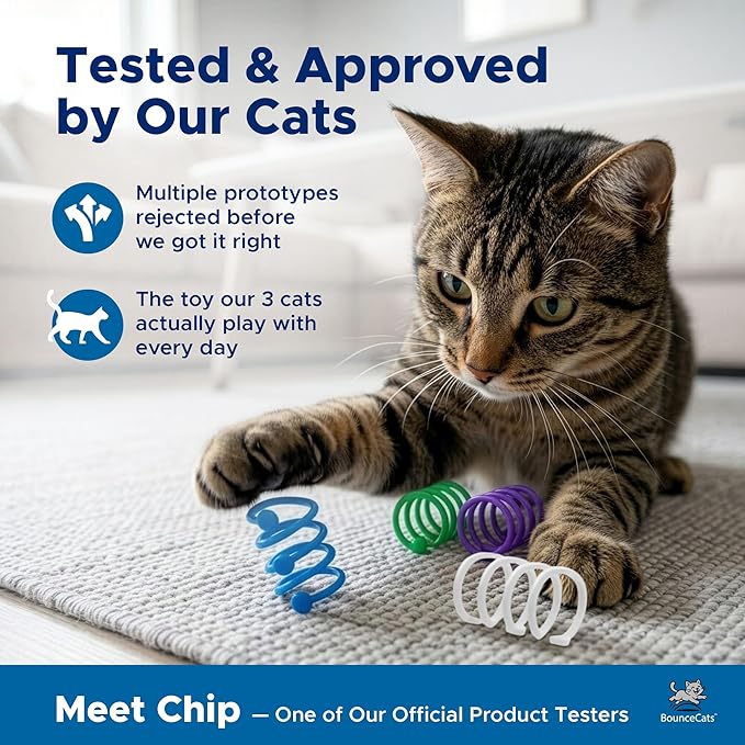 Cat Springs for Indoor Cats & Kittens – Interactive Coil Spring Toy Cats Can't Resist, Swat, Chase & Pounce, Family Made in USA, Set of 4