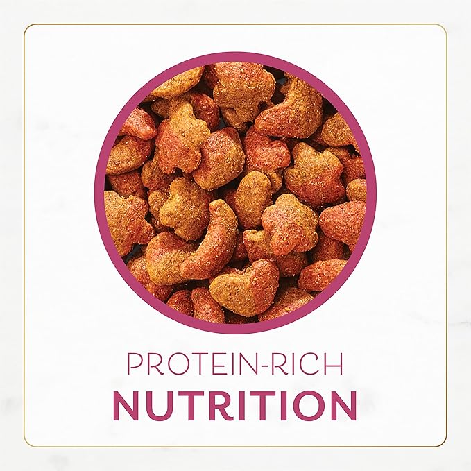 Fancy Feast Purina Dry Cat Food, Filet Mignon Flavor with Real Seafood & Shrimp, Gourmet Cat Food with Added Vitamins & Minerals, 16 OZ Resealable Bag (Pack of 1)