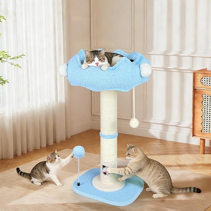 Tall Cat Scratching Post for Indoor Cats Adults, Cat Scratch Post with Sisal Rope Claw Scratcher, Solid Wood Cat Tower with Scratching Post and Cat Toys Mouse Hole, Cute Small Cat Tree, (Blue Sky)