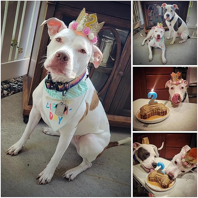 Dog Birthday Hat Adjustable Reusable Crown for Dogs Cats Puppy Kitten Birthday Party Headband with Numbers(Gold)