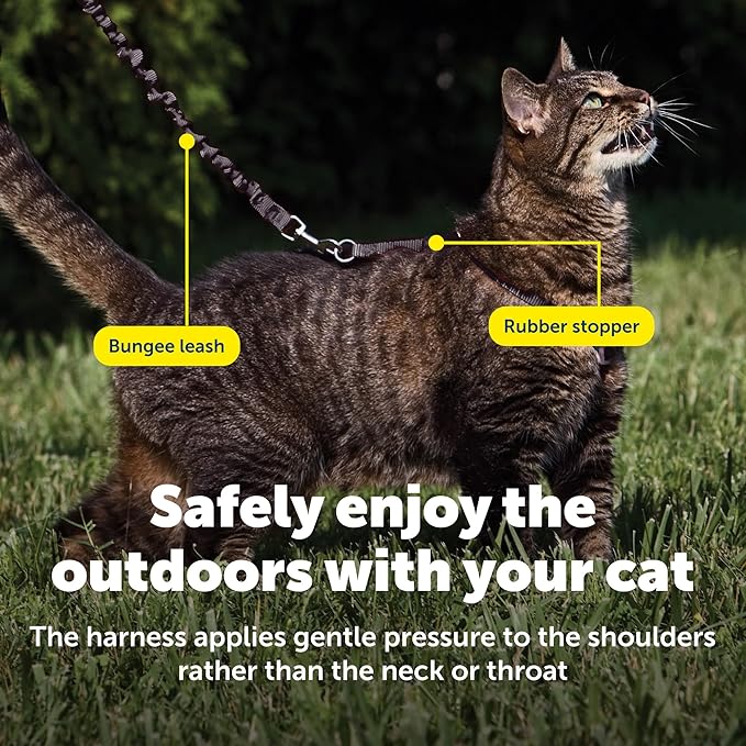 PetSafe Come with Me Kitty Harness and Bungee Leash Adjustable, Lightweight Harness for Cats Medium, Black