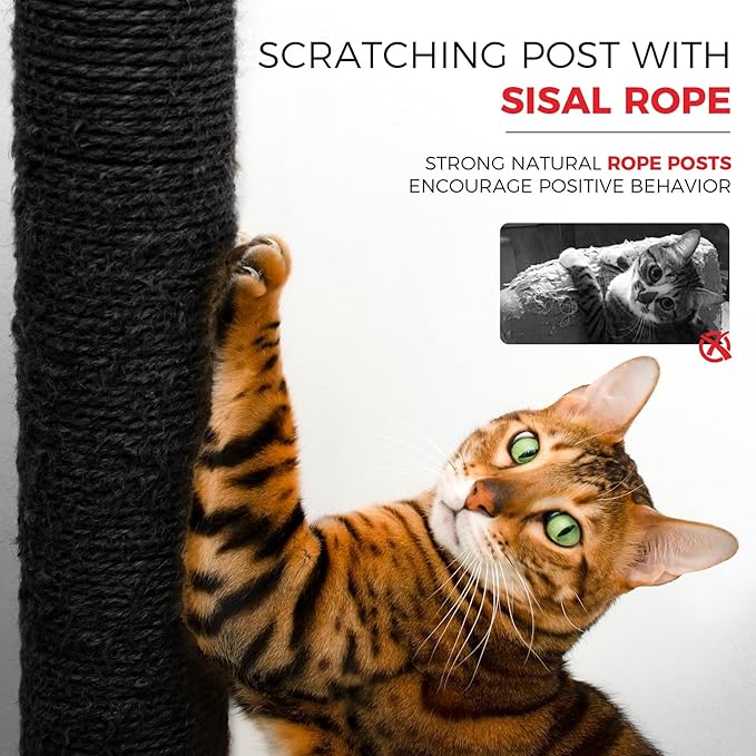 68" Black Cute Cat Tree for Indoor Cats Large Adult, Tall Cat Tower with Scratching Post & Condo, Hammock, Aesthetic Cats Stand, Modern, Easy Assembly (Black, 68" Tall)