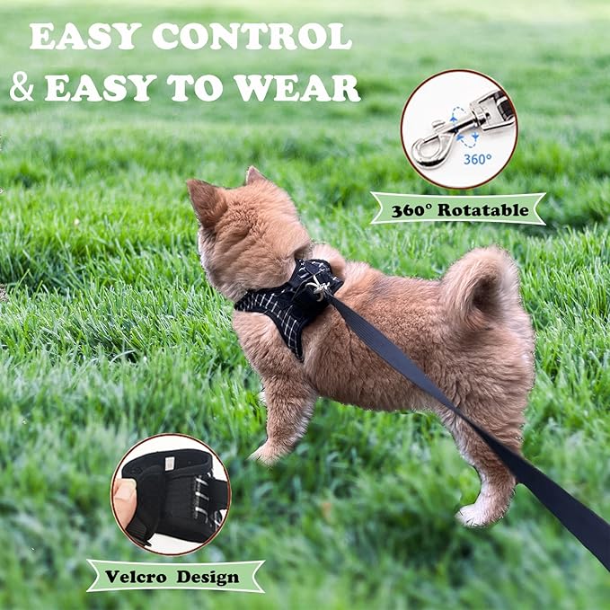 Cat Harness and Leash Set for Escape Proof,Breathable Dog Harness,Pet Harness,Adjustable Mesh Vest Harness for Puppy Cat Rabbit (Black, XXS)
