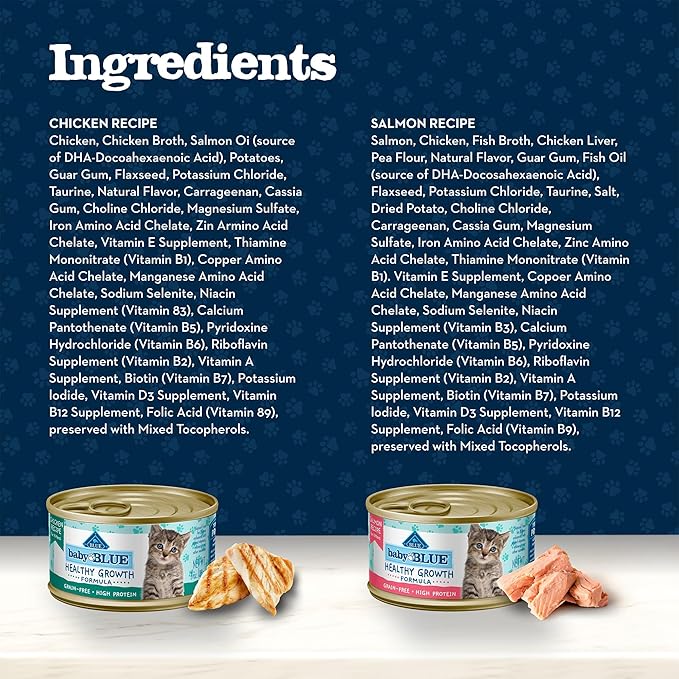 Blue Buffalo Baby Blue Natural Kitten Wet Cat Food Paté Variety Pack, Healthy Growth Formula with DHA, High-Protein & Grain-Free, Chicken and Salmon Recipes, 3-oz Cans (6 Count, 3 of Each)
