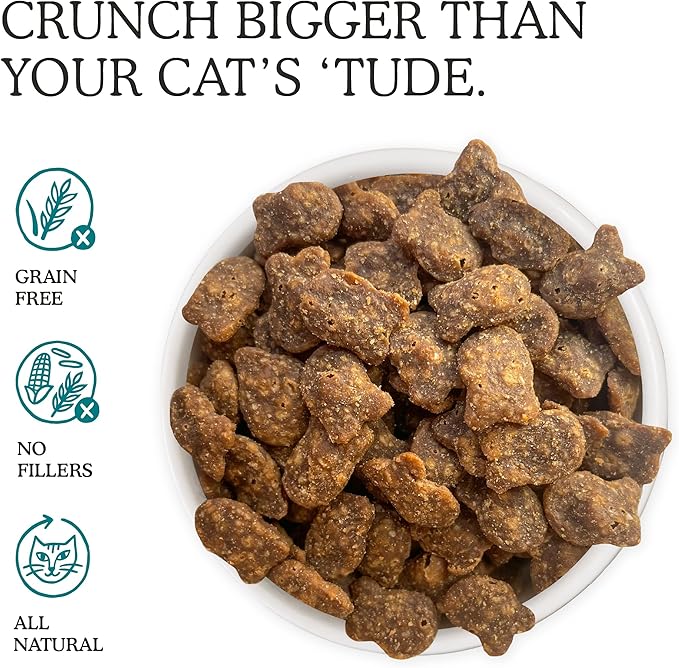 Cat Person, Salmon Savory Crunchies Cat Treats, 2oz Bag (Pack of 4)