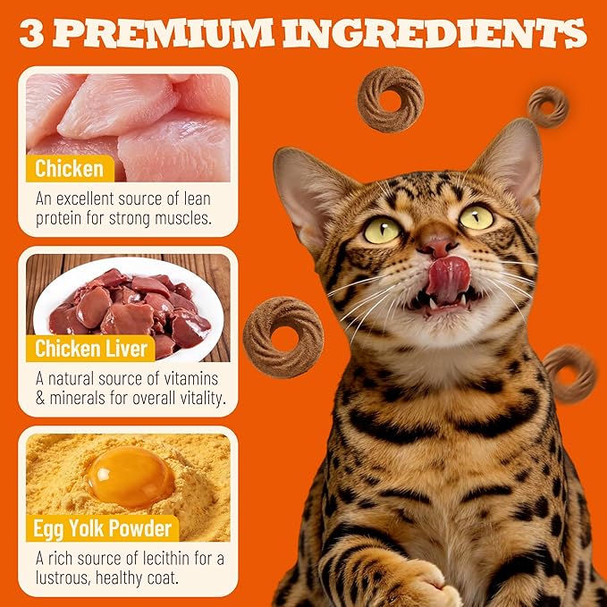 Crunchy Chicken Cat Treats – Healthy Biscuits with Chicken Liver, Salmon Oil, Vitamin C - Dental Care & Training Snacks for Indoor Cats (9 oz)