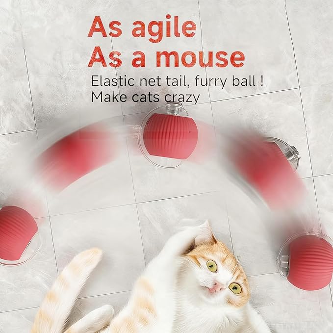 Interactive Cat Toy Ball for Indoor Cats, Automatic Moving Cat Ball with String Tail, 3 Interaction Modes Smart Rolling Pet Toy, Type-C Rechargeable Silent Kitten Toy for Boredom & Exercise