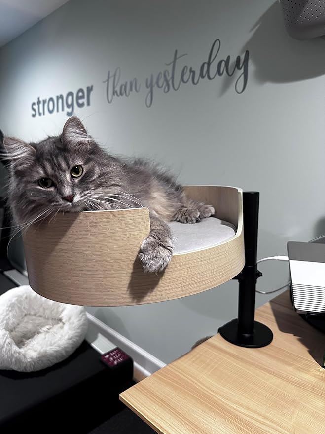 Desk Nest® Cat Bed – Space-Saving, Elevated Bed for Cats – Keeps Desks Clear, 360° Adjustable, Supports 25 lbs – Secure, Stylish and Durable – Perfect for Home Office – White Oak Finish