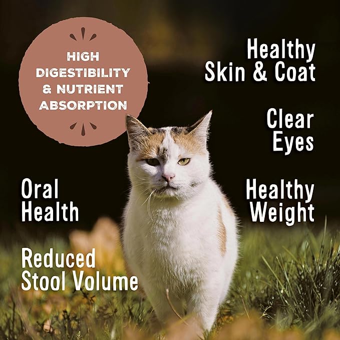 Primal Freeze Dried Raw Cat Food Nuggets Pork, Complete & Balanced Meal or Topper, Premium, Healthy, Grain Free, High Protein Raw Cat Food with Probiotics (14 oz)