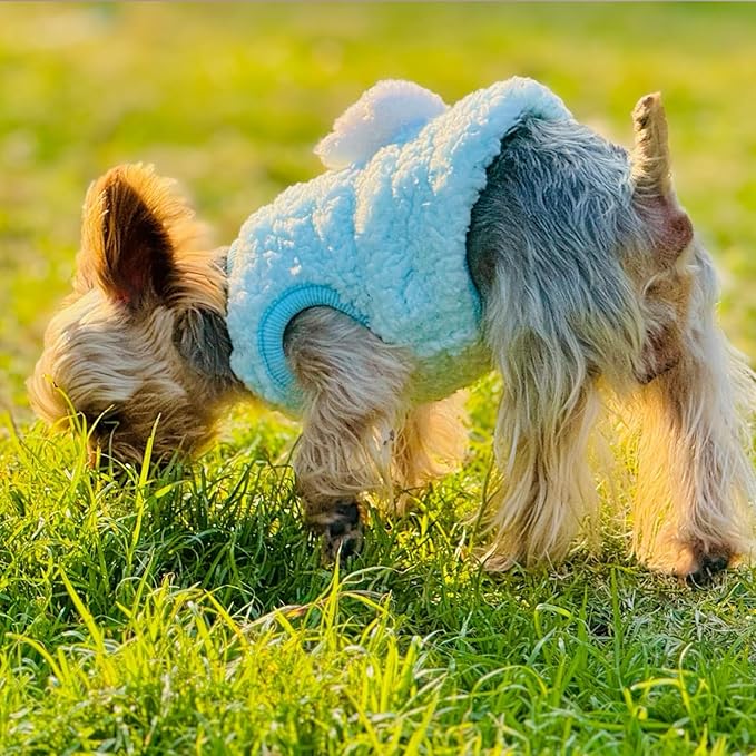 4-Piece Tiny Pet Clothes, Candy Colored Plush Sweater Shirts for Newborn/Teacup Cats & Dogs (e.g., Chihuahuas, Yorkies), Bunnies, and Other Small Animals (Gradient, XXS (1.5-3 lbs))