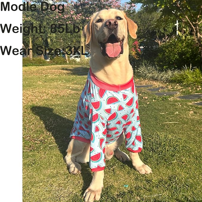 Dog Blue T Shirts Watermelon Pattern Printed Pet Shirt Softable Pajamas for Small Dogs (3XL,Watermelon)