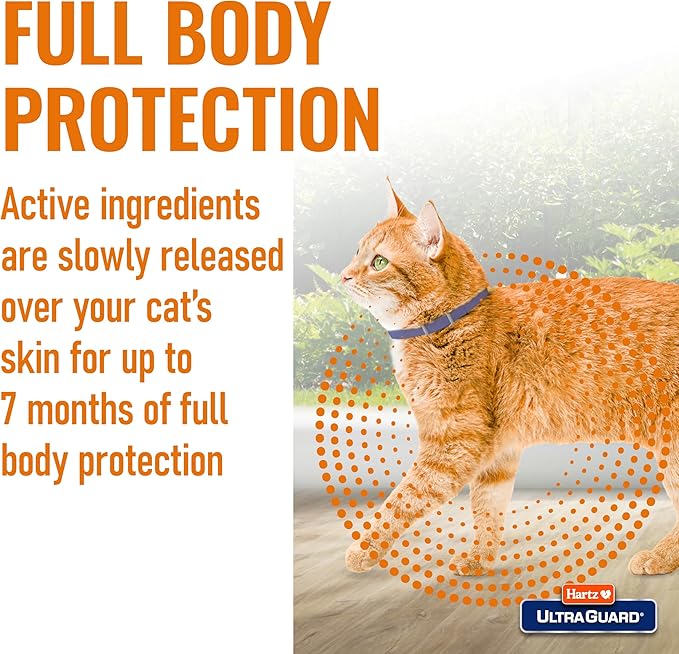 Hartz UltraGuard Purple Flea & Tick Collar for Cats and Kittens - 7 Month Protection