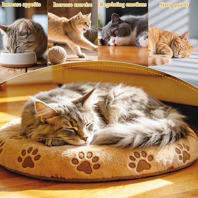Natural Loofah Cat Chew Toys with Catnip, Biodegradable Dental & Teething Toys for Kittens and Cats, Eco-Friendly Interactive Cat Toy for Boredom Relief and Teeth Cleaning