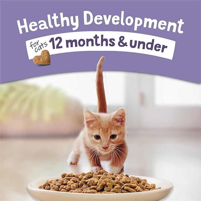 Purina Kitten Chow Kitten Food Healthy Development with Real Chicken Dry Kitten Food - (Pack of 4) 3.15 lb. Bag