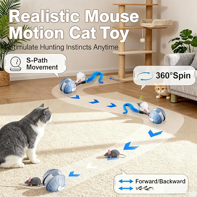 Interactive Cat Toy Ball for Indoor Cats, 2-in-1 Smart Moving Cat Ball with Feather Accessories, Automatic Kitten Toys for Bored Indoor Cats, USB Rechargeable Ideal for Small and Medium Cats
