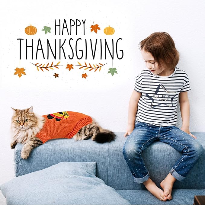 2 Packs Knitted Cat Sweater Thanksgiving Turtleneck Turkey Kitty Sweater Kitten Pet Cat Sweaters for Cats Only Warm Pullover Knitwear