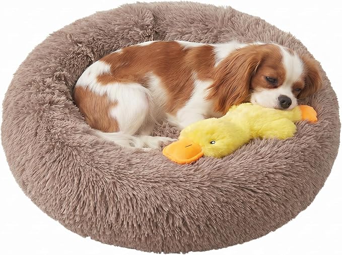 Whiskers & Friends Cat Beds for Indoor Cats, Fluffy Calming Donut Cat Bed, Small Dog Bed Washable - Orthopedic Soft Plush Pet Beds Sized for Kitten to Large Cats & Puppy to Small Dogs - Camel