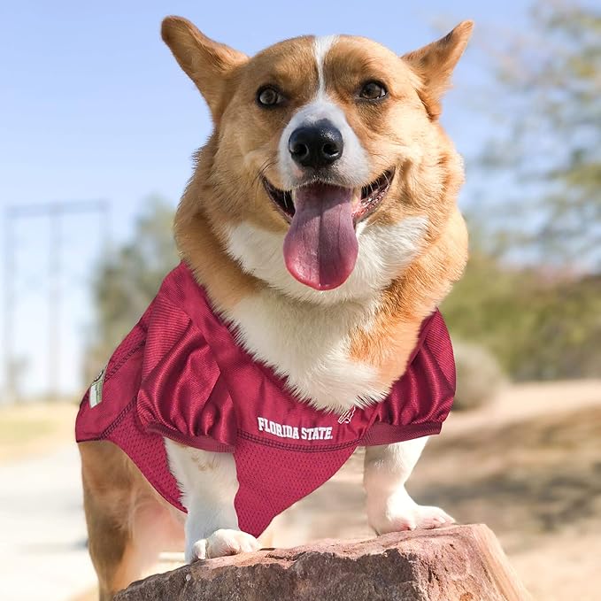 Pets First NCAA College Florida State Seminoles Mesh Jersey for DOGS & CATS, Small.Licensed Dog Jersey with your Favorite Football/Basketball College Team