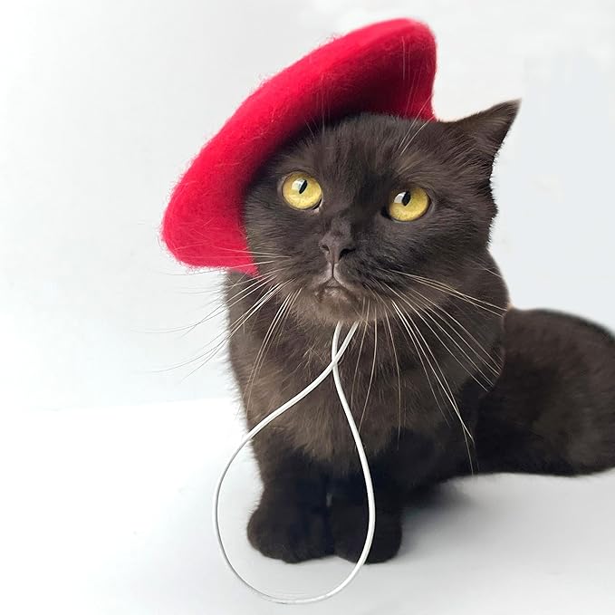 Dog Beret for Small Dogs Cat Doll, Colorful Wool Mini Cap Creative Accessories Costume French Mushroom Artist Fedora Hat Beanies Solid Color Pet Headwear Christmas Hair Accessory Photo Props (Red)