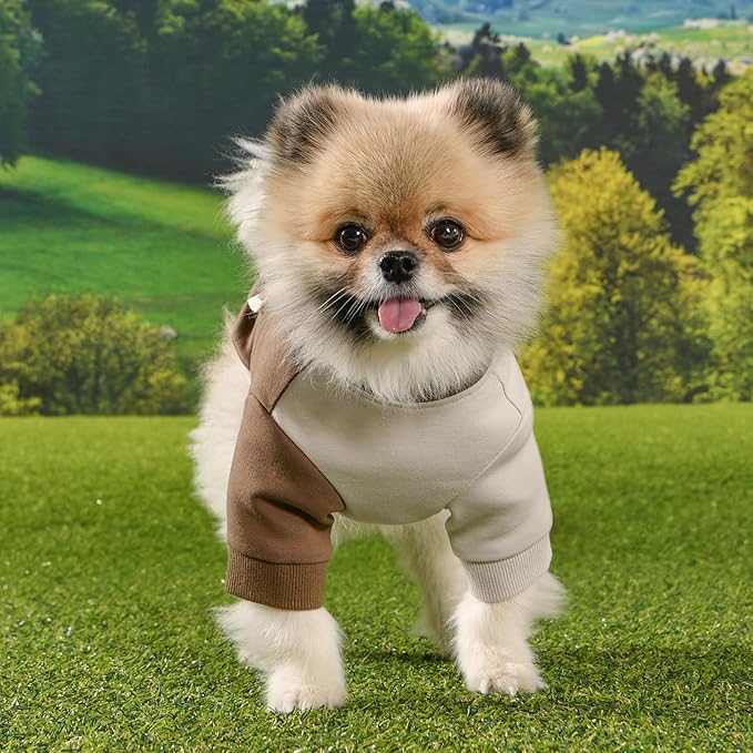 Puppia Eco Two-Tone T-Shirt Eco-Friendly Made from Recycled Polyester Fabric for Small and Medium Dogs, Beige, X-Large