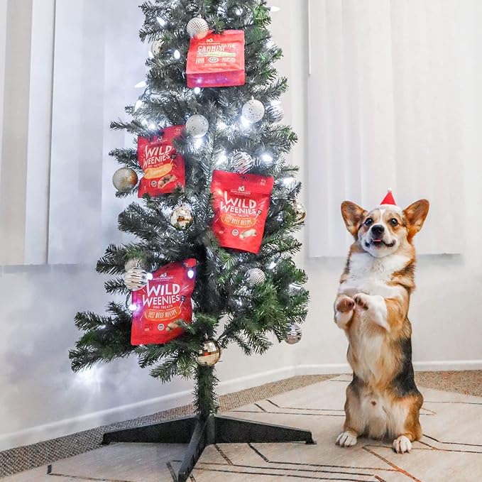 Stella & Chewy's Mixed Protein Treats, 5 Item Big Bundle