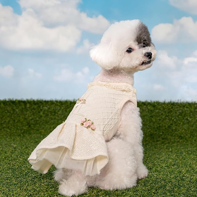 Pinkaholic New York Majesty Dog One-Piece Dress Trendy Fashionable Cute Elegant Dog Apparel for Small Dogs, Ivory, Medium