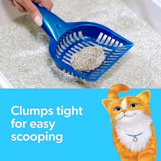 Fresh Step Odor Shield Scented Litter with the Power of Febreze, Clumping Cat Litter, 25 Pounds (Package May Vary)