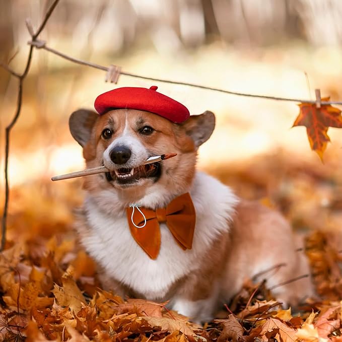 Dog Beret for Small Dogs Cat Doll, Colorful Wool Mini Cap Creative Accessories Costume French Mushroom Artist Fedora Hat Beanies Solid Color Pet Headwear Christmas Hair Accessory Photo Props (Red)