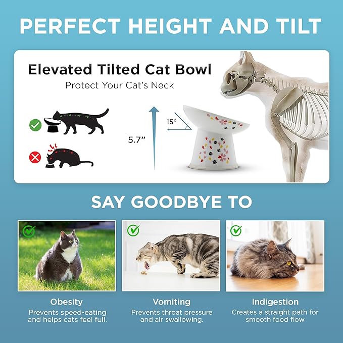 Necoichi Raised Cat Food Bowl – Ceramic Elevated 15° Tilted Bowl for Whisker Fatigue, Dishwasher & Microwave Safe, Non-Slip Anti-Vomiting Ergonomic Design (Sakura Floral, Extra Wide, 1.5-Cup Capacity)