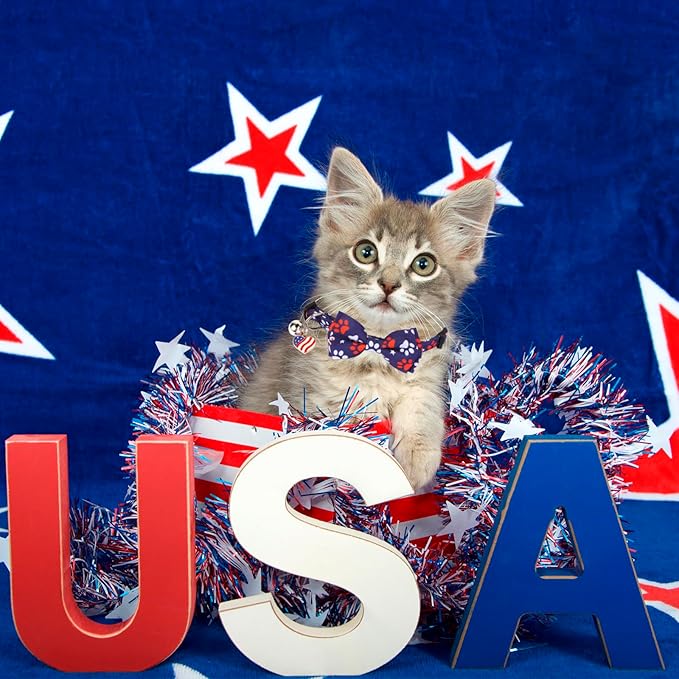 PTDECOR American Flag Cat Collar Breakaway with Cute Bow Tie Bell, 4th of July Bandana Collar, Patriotic Cat Bowtie Collars for Kittens (Blue)