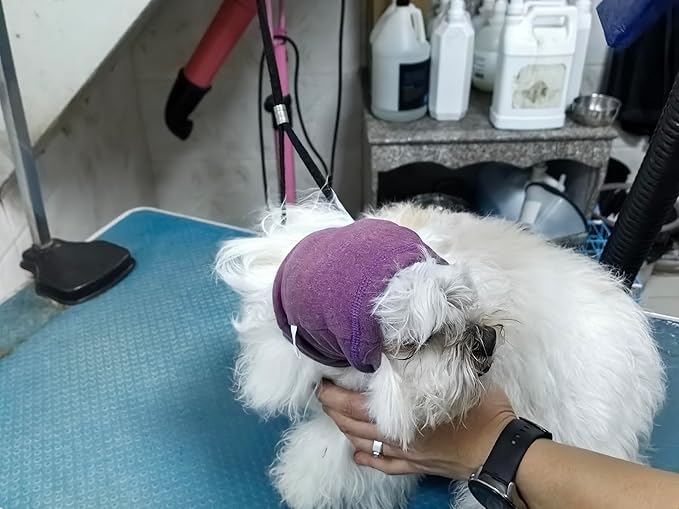Dog Head Cover Keep Calm Ear Wrap Neck Muff Wrap Hematoma Dog Ear Cover Pail Lilac+Pink M