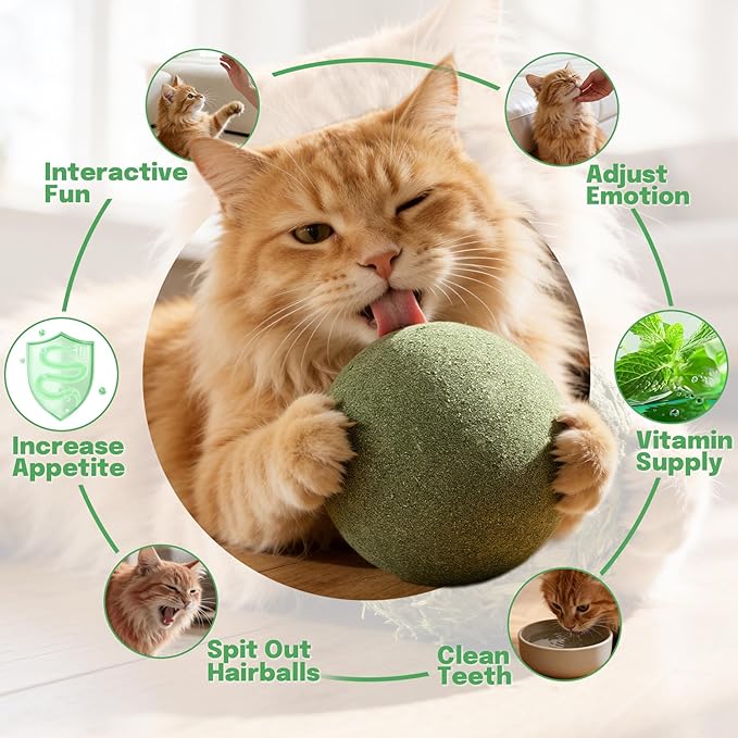 3.94 Inches Giant Catnip Ball, Lickable Cat Nip Ball, Interactive Cat Balls for Bored Adult Cats Indoor, Jumbo Kitty Teeth Cleaning Chew Dental Toy