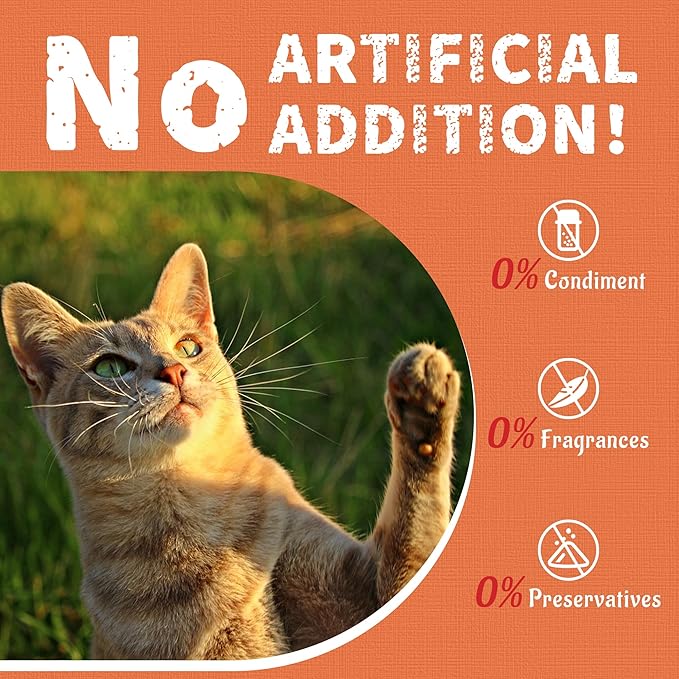 Just Try Cat Multivitamin Treats - Taurine for Cats L-Lysine Cat Treats, Cat Vitamins Crunchy Cat Treats for Overall Vitality, Chicken Flavor, Training Treats 16 oz