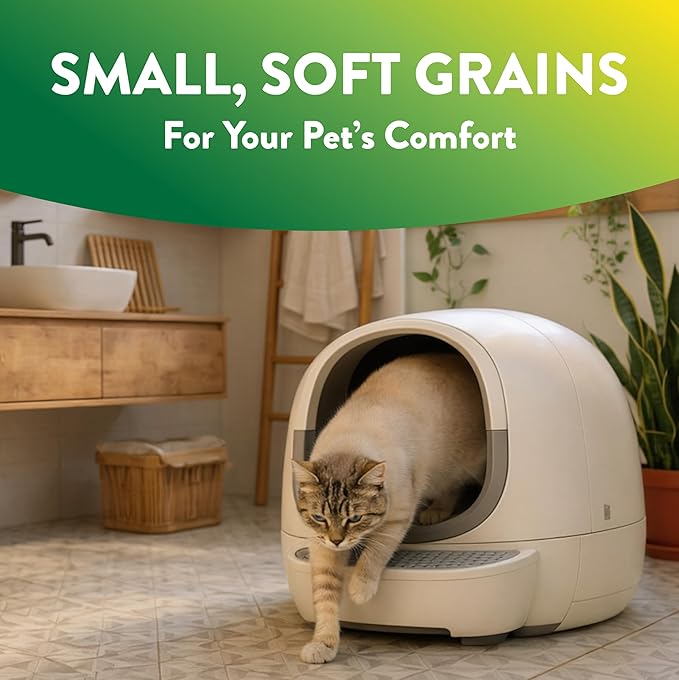 ARM & Hammer Plant Power Lightweight Plant-Based Clumping Cat Litter for Multi-Cat Homes, 14-Day Odor Control, Highly Absorbent Natural Grain Formula, Unscented 15 Lbs