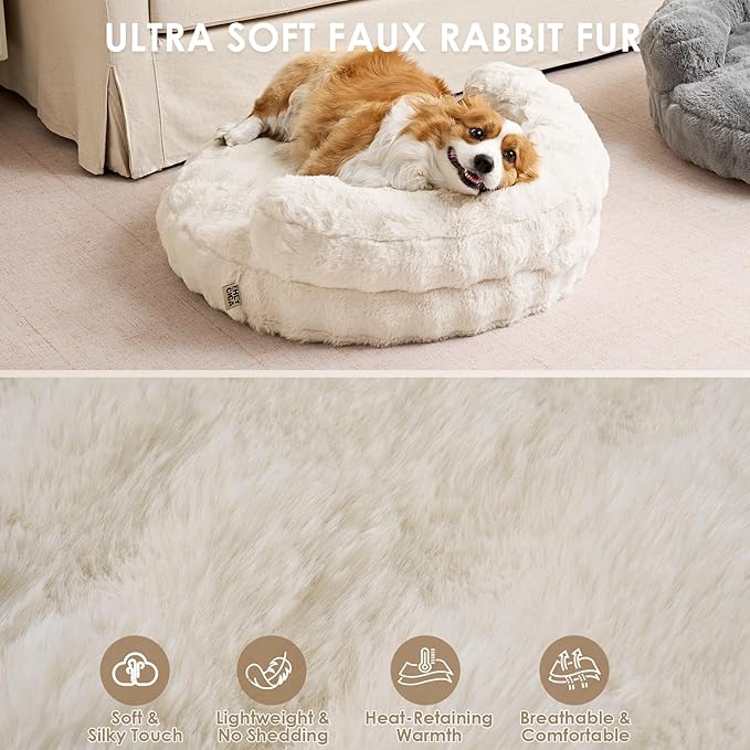 EHEYCIGA Soft Cat Couch Bed for Indoor Cats, Fluffy Small Dog Bed with Removable Washable Cover, Bolster Pet Sofa, Waterproof and Non-Slip, 23" x 23"x 7", Cream