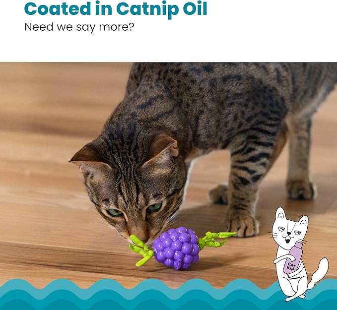 Catstages Bouncing Grape Teether Cat Toy, Soft and Textured Chew, Catnip Oil Coating