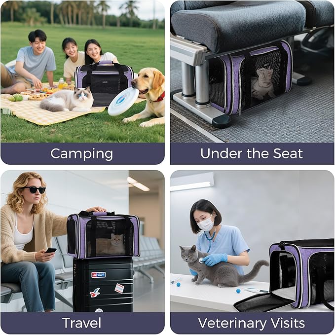 BAGLHER Pet Travel Carrier, Cat Carriers Dog Carrier for Small Medium Cats Dogs Puppies, Airline Approved Small Dog Carrier Soft Sided, Collapsible Puppy Carrier, Purple