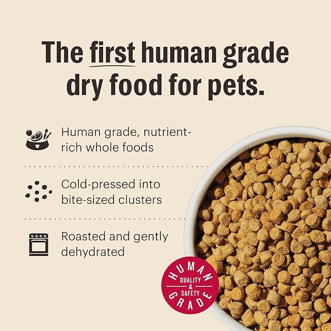 The Honest Kitchen Human Grade Dry Cat Food, Whole Food Clusters Grain Free Chicken & Fish Dry Cat Food, 4 lb Bag